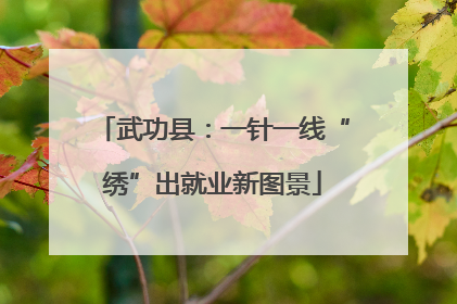 武功县：一针一线“绣”出就业新图景