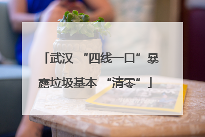 武汉 “四线一口”暴露垃圾基本 “清零”