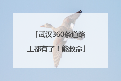 武汉360条道路上都有了！能救命