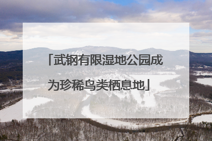 武钢有限湿地公园成为珍稀鸟类栖息地