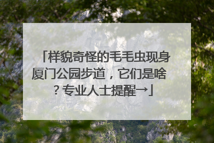 样貌奇怪的毛毛虫现身厦门公园步道，它们是啥？专业人士提醒→