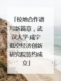 校地合作谱写新篇章，武汉大学·咸宁低空经济创新研究院签约成立