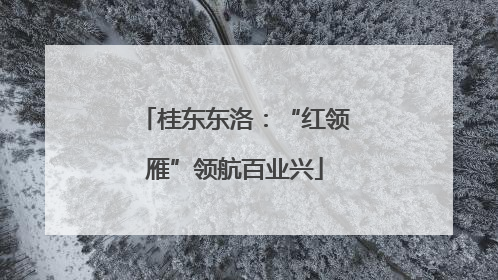 桂东东洛：“红领雁”领航百业兴