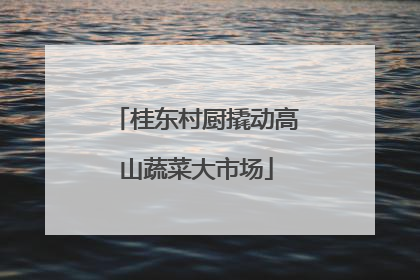 桂东村厨撬动高山蔬菜大市场