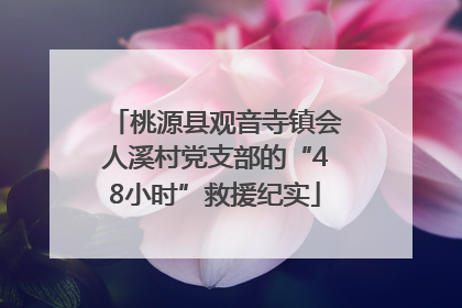 桃源县观音寺镇会人溪村党支部的“48小时”救援纪实