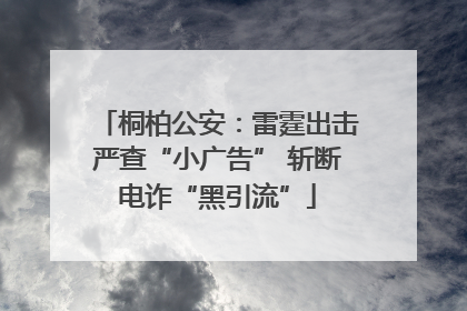 桐柏公安：雷霆出击严查“小广告” 斩断电诈“黑引流”