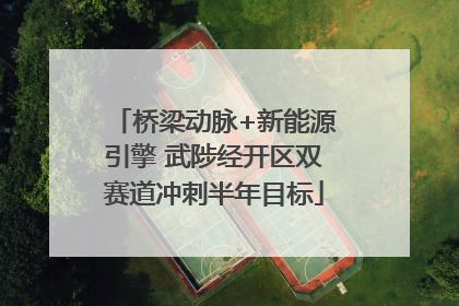 桥梁动脉+新能源引擎 武陟经开区双赛道冲刺半年目标
