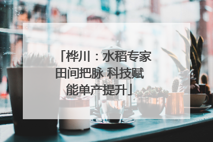 桦川：水稻专家田间把脉 科技赋能单产提升