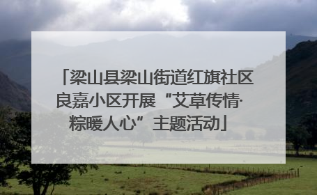 梁山县梁山街道红旗社区良嘉小区开展“艾草传情·粽暖人心”主题活动