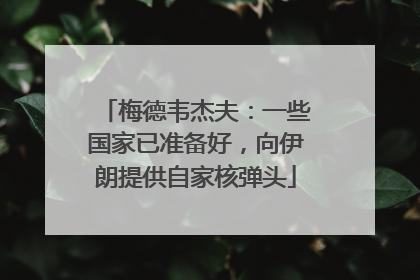 梅德韦杰夫：一些国家已准备好，向伊朗提供自家核弹头