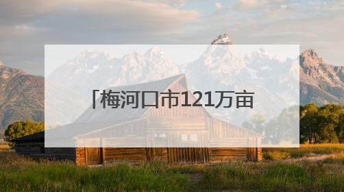 梅河口市121万亩旱田基本播种完成