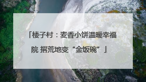 楼子村：麦香小饼温暖幸福院 撂荒地变“金饭碗”