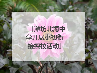 潍坊北海中学开展小初衔接探校活动