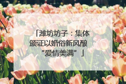 潍坊坊子：集体颁证以婚俗新风酿“爱情美满”