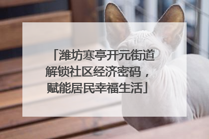 潍坊寒亭开元街道解锁社区经济密码，赋能居民幸福生活