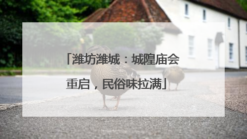 潍坊潍城：城隍庙会重启，民俗味拉满