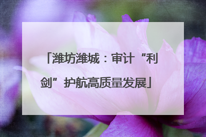 潍坊潍城：审计“利剑”护航高质量发展