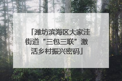 潍坊滨海区大家洼街道“三包三联”激活乡村振兴密码