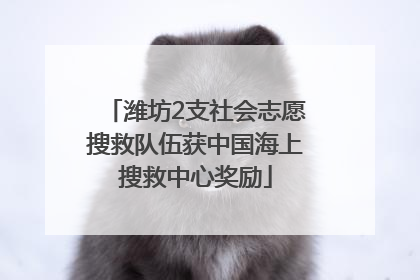 潍坊2支社会志愿搜救队伍获中国海上搜救中心奖励