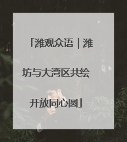 潍观众语｜潍坊与大湾区共绘开放同心圆