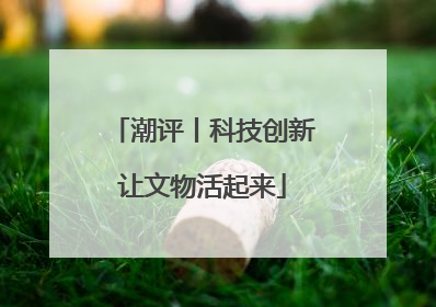 潮评丨科技创新让文物活起来