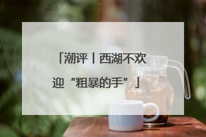 潮评丨西湖不欢迎“粗暴的手”