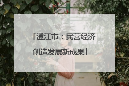 澄江市：民营经济创造发展新成果