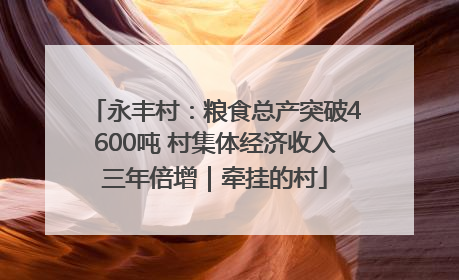 永丰村：粮食总产突破4600吨 村集体经济收入三年倍增｜牵挂的村