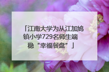 江南大学为从江加鸠镇小学729名师生端稳“幸福餐盘”