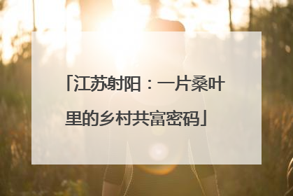 江苏射阳：一片桑叶里的乡村共富密码