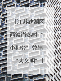 江苏建湖冈西镇肖荡村“小积分”兑出“大文明”