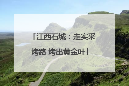 江西石城：走实采烤路 烤出黄金叶