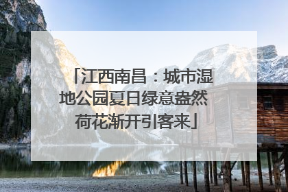 江西南昌：城市湿地公园夏日绿意盎然 荷花渐开引客来