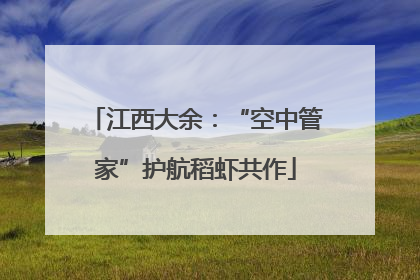 江西大余：“空中管家”护航稻虾共作