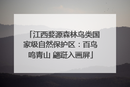 江西婺源森林鸟类国家级自然保护区：百鸟鸣青山 翩跹入画屏