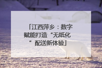 江西萍乡：数字赋能打造“无纸化”配送新体验