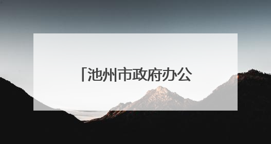 池州市政府办公室副主任杨洞庭接受审查调查