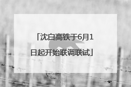 沈白高铁于6月1日起开始联调联试