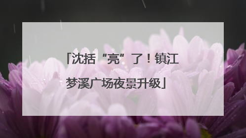 沈括“亮”了！镇江梦溪广场夜景升级