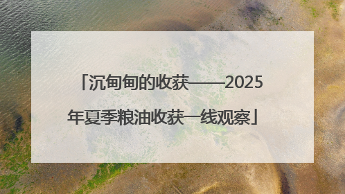 沉甸甸的收获——2025年夏季粮油收获一线观察