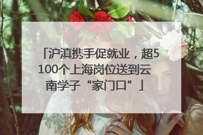 沪滇携手促就业，超5100个上海岗位送到云南学子“家门口”