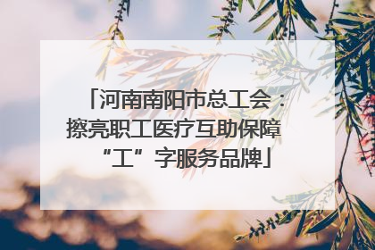 河南南阳市总工会：擦亮职工医疗互助保障“工”字服务品牌