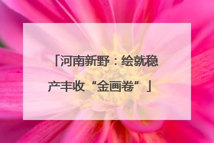 河南新野：绘就稳产丰收“金画卷”