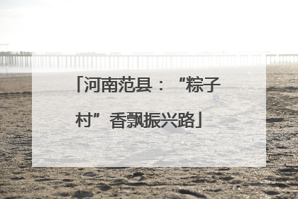 河南范县：“粽子村”香飘振兴路