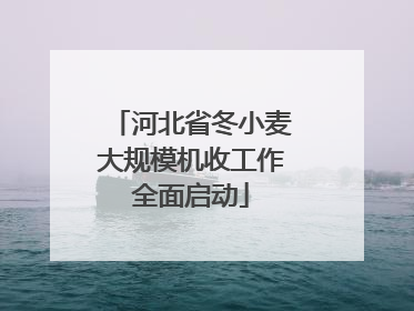 河北省冬小麦大规模机收工作全面启动
