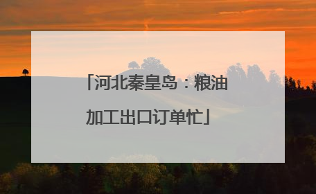 河北秦皇岛：粮油加工出口订单忙
