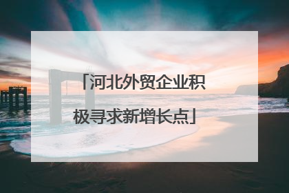 河北外贸企业积极寻求新增长点
