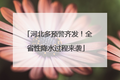 河北多预警齐发！全省性降水过程来袭