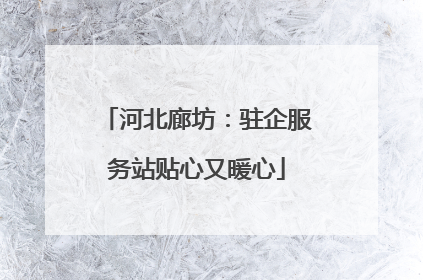 河北廊坊：驻企服务站贴心又暖心