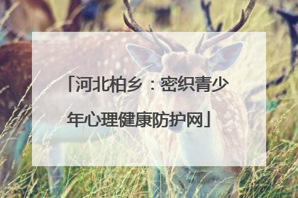 河北柏乡：密织青少年心理健康防护网